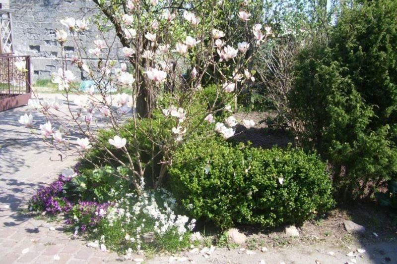 Pokoje Goscinne Pod Magnolia Wiele Eksteriør billede